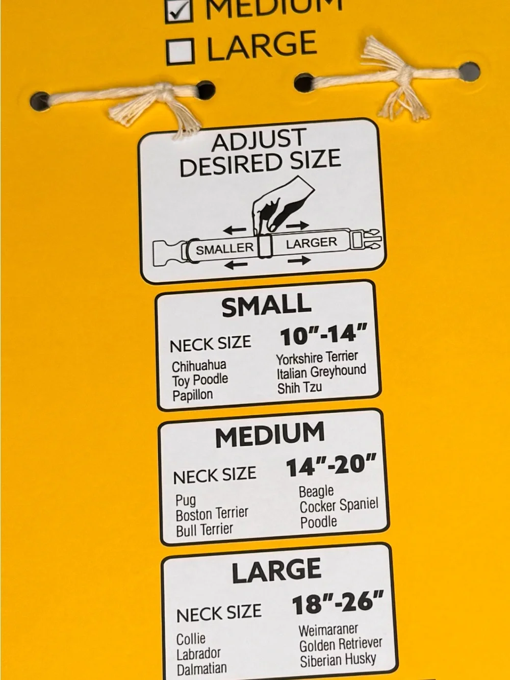 Peanuts Charlie Brown, Snoopy & Gang Medium Dog Collar & 5 foot Leash